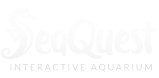 SeaQuest logo.